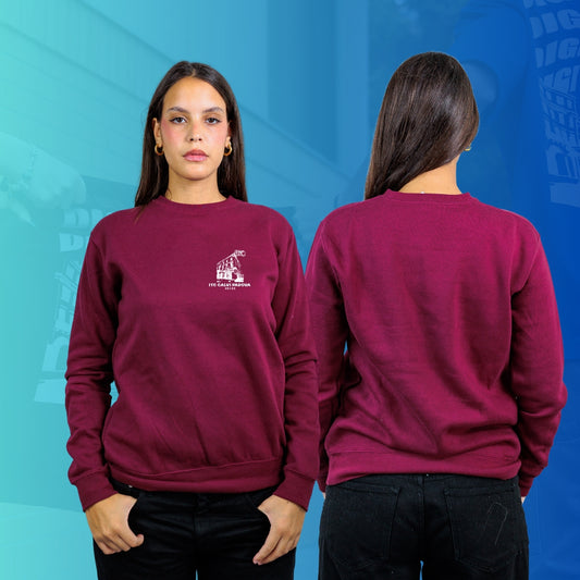 FELPA GIROCOLLO CALVI